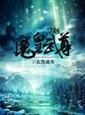 穿越魔皇武尊百度