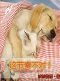 重生之这节奏不对by
