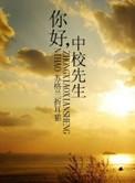 你好中校先生 讲的什么
