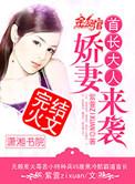 首长大人宠翻天全文免费阅读
