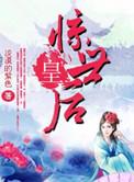 惊世皇印