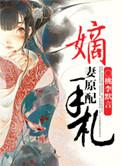 嫡妻攻略手札