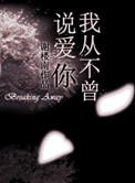 我从不曾说爱你晋江手机版