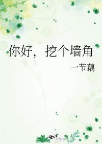 我挖墙角是什么意思