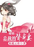 总裁的总裁替身情人