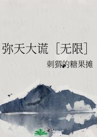 弥天大谎歌