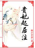 贵妃起居注玖拾陆