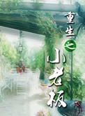 重生之小老板是我老婆