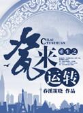 重生之瓷安