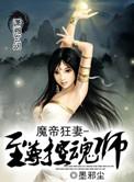 魔帝狂宠妻神医纨绔