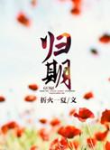 归期by陆离觥筹全文阅读笔趣阁最新章节