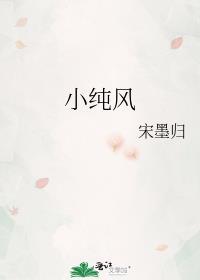 小纯风by宋墨归txt