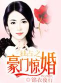 独占之豪门惊婚 晋江