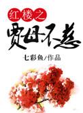 红楼重生之贾母不慈