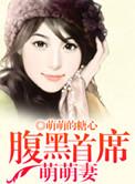 腹黑首席狂宠妻