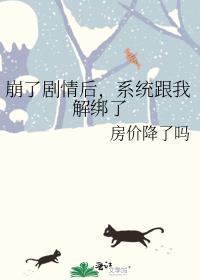 系统崩溃后我玩烂