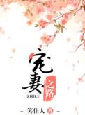 宠妻之路百度TXT