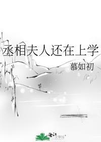 丞相夫人还在上学TXT