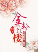 金粉世家 红楼梦