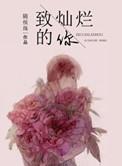 致灿烂的你全部番外吧