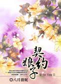 契约娘子电视剧多少集
