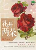 花开两朵八字形打一准确生肖