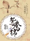 鸳鸯锦帕