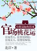 官道之步步高升(北岸)最新章节