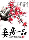 妾局一品