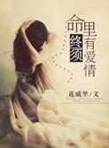 命里终有终须有