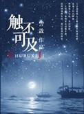 触不可及法国版本