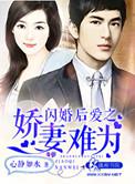 闪婚小娇妻难养