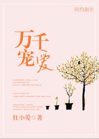 万千宠爱是np吗