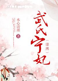 宁妃武氏历史原型
