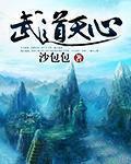 武道天心在线阅读