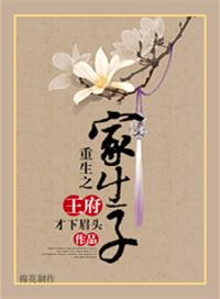 重生之王府正妃