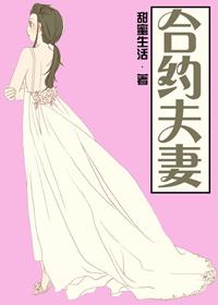 合约夫妻十夜灯