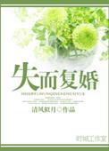 失而复得婚姻免费版在线观看