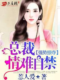 总裁情难自禁
