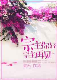 宗主指什么
