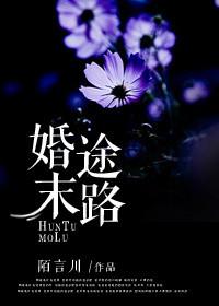 婚途末路与君辞短剧全集