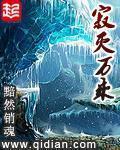 寂灭万乘的简介