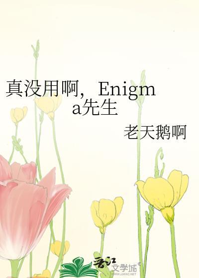 真没用啊enigma先生讲的什么