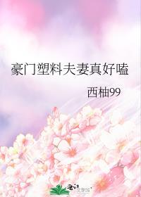豪门塑料夫妇无弹窗