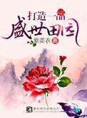 一品盛世普洱茶价格