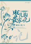 枣儿沟发家记txt资源