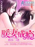 暖妻成瘾高筱潇韩禛txt