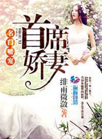名门暖婚爱入骨