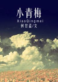 小青梅江萝笔趣阁