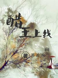 醋王上线十二哔哩哔哩